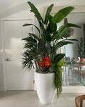 TropaLuxe